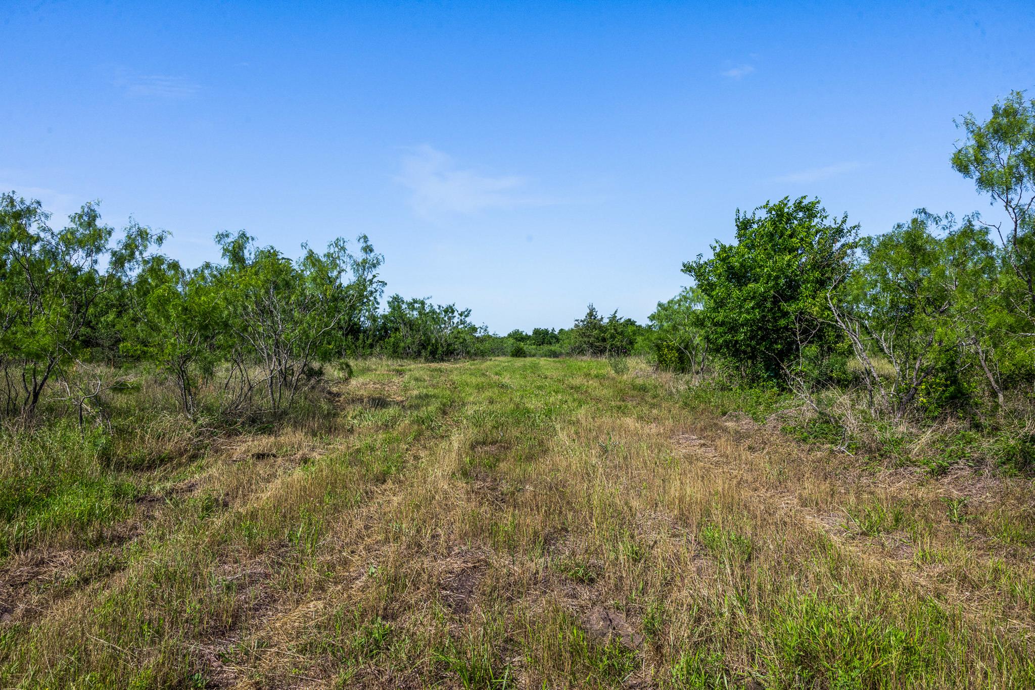 Tract 2 Tbd Lcr 392 Groesbeck TX 76642