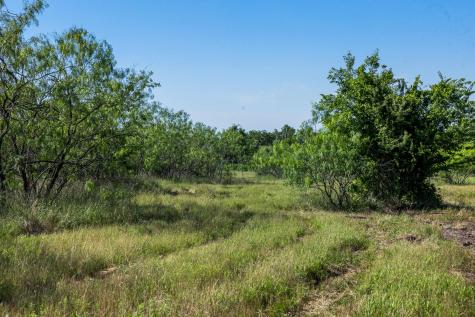 Tract 2 Tbd Lcr 392 Groesbeck TX 76642