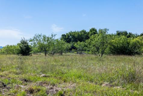 Tract 2 Tbd Lcr 392 Groesbeck TX 76642