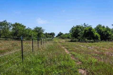 Tract 2 Tbd Lcr 392 Groesbeck TX 76642