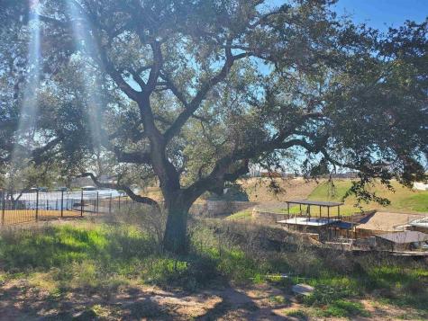 Lot 8 Legendary Estates Drive Kingsland TX 78639