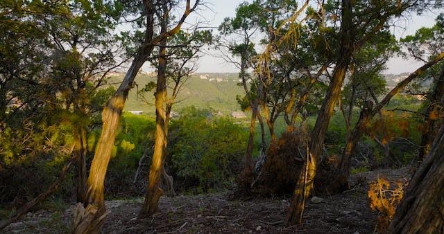 6702-6712 N Capital Of Texas Highway N Austin TX 78750