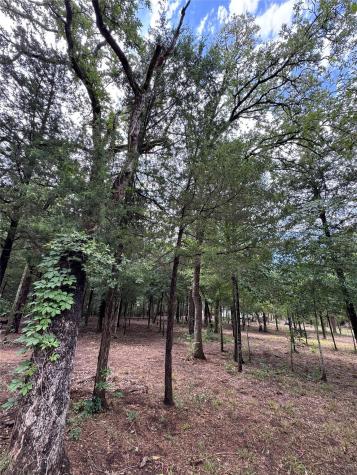 891 Cedar Creek Road Caldwell TX 77836