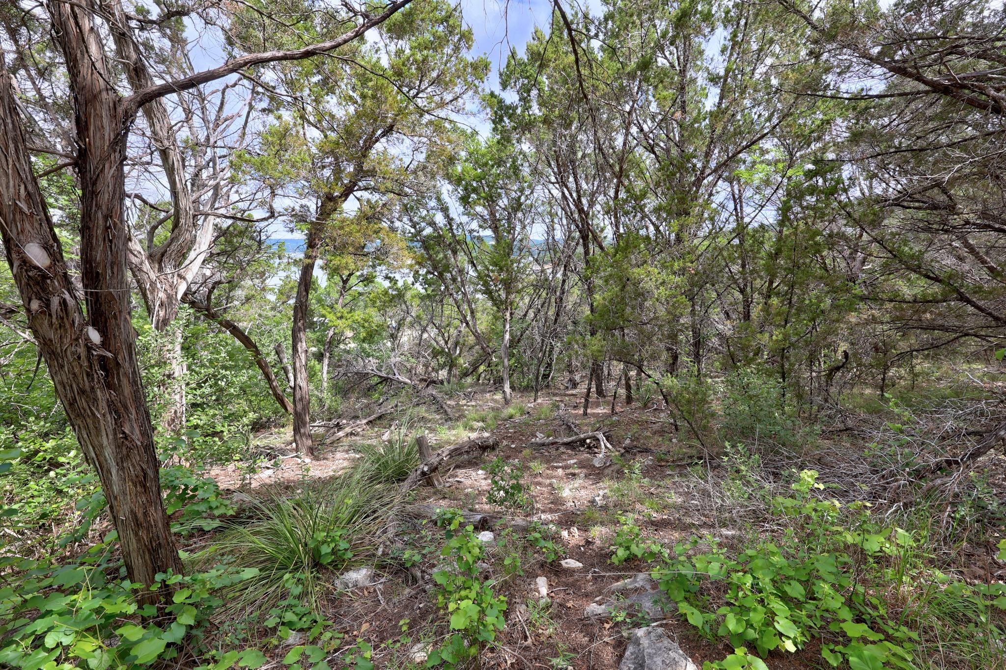 9006 Lime Creek Road Volente TX 78641