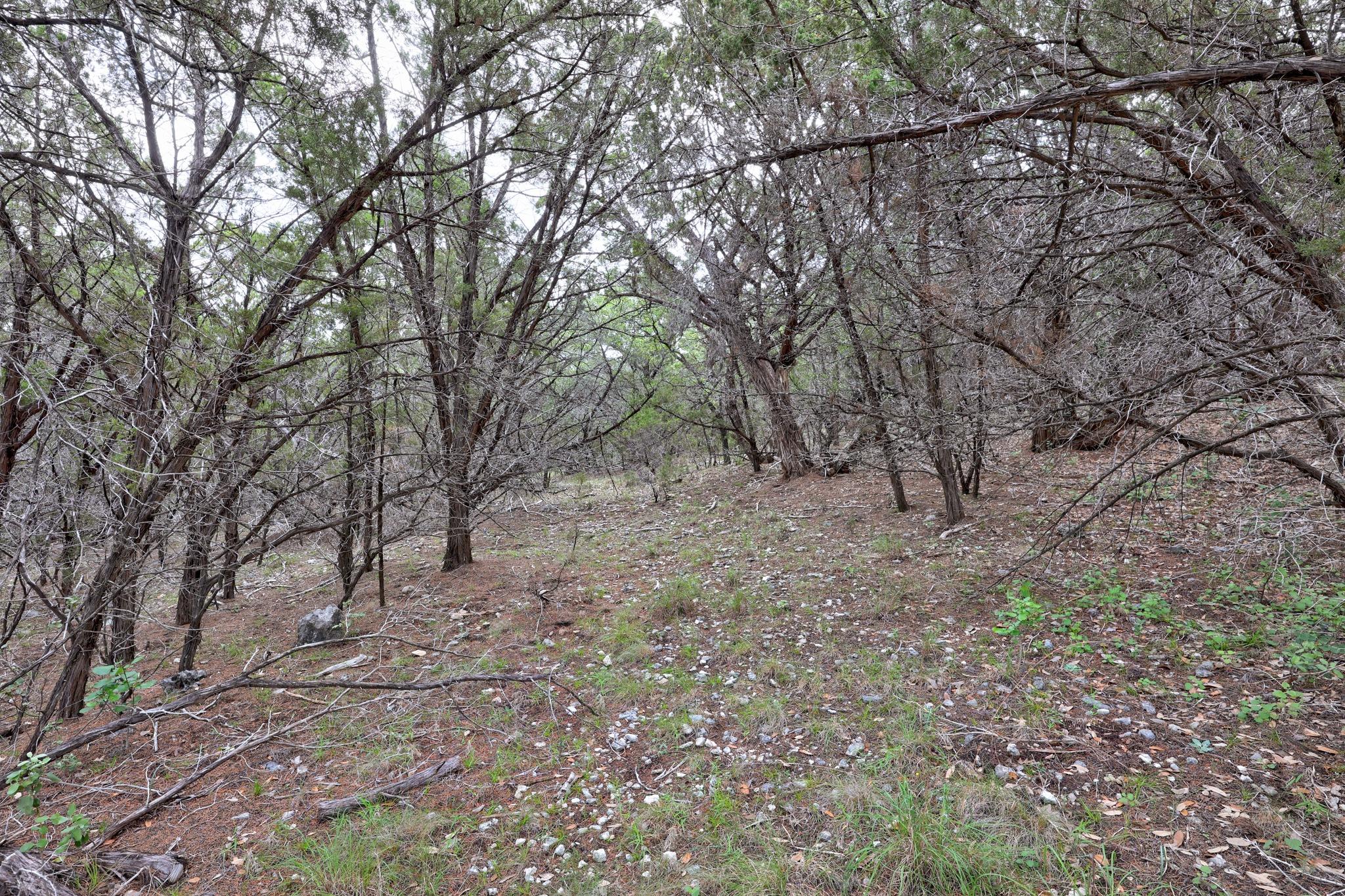 9006 Lime Creek Road Volente TX 78641