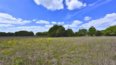 Tbd Legacy Road (5 Acres) Caldwell TX 77836