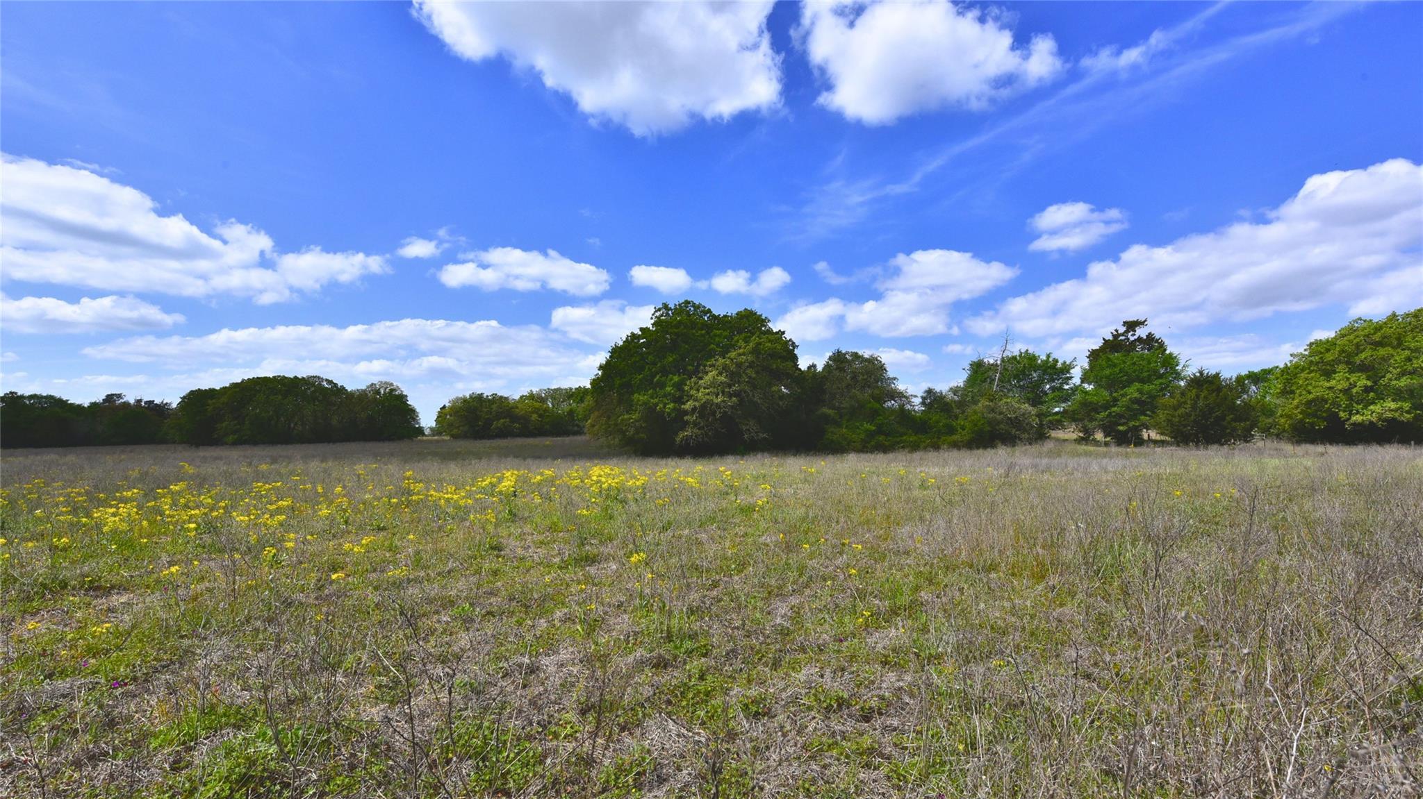 Tbd Legacy Road (5 Acres) Caldwell TX 77836
