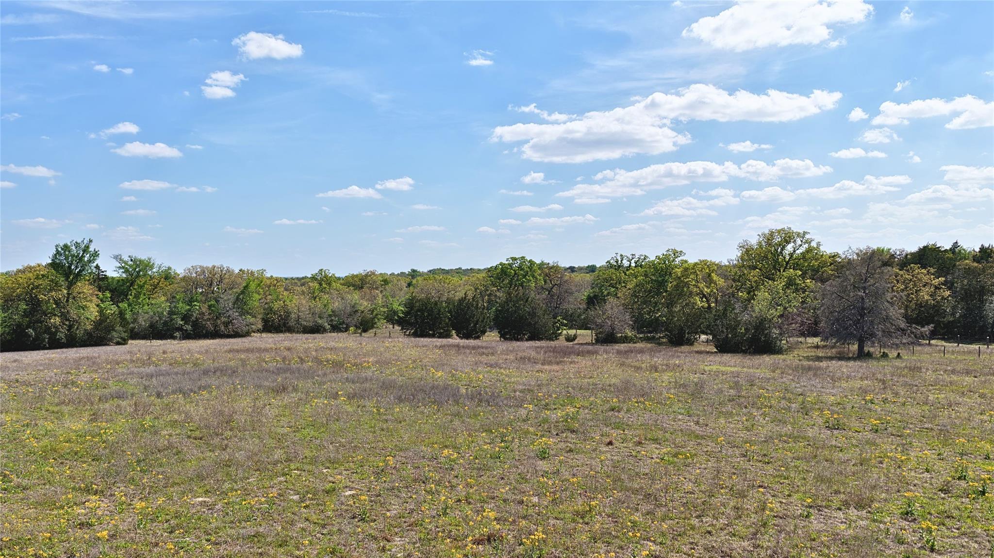 Tbd Legacy Road (5 Acres) Caldwell TX 77836
