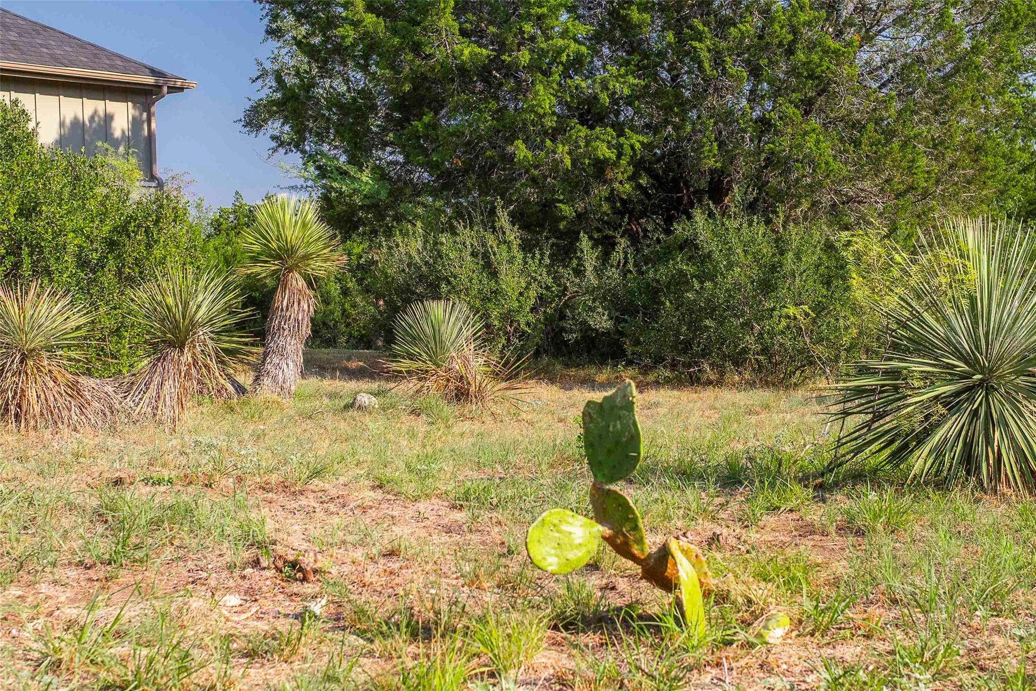 Lot 64 Wesley Ridge Drive Spicewood TX 78669