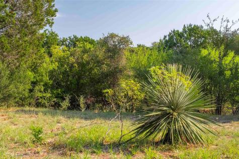 Lot 64 Wesley Ridge Drive Spicewood TX 78669