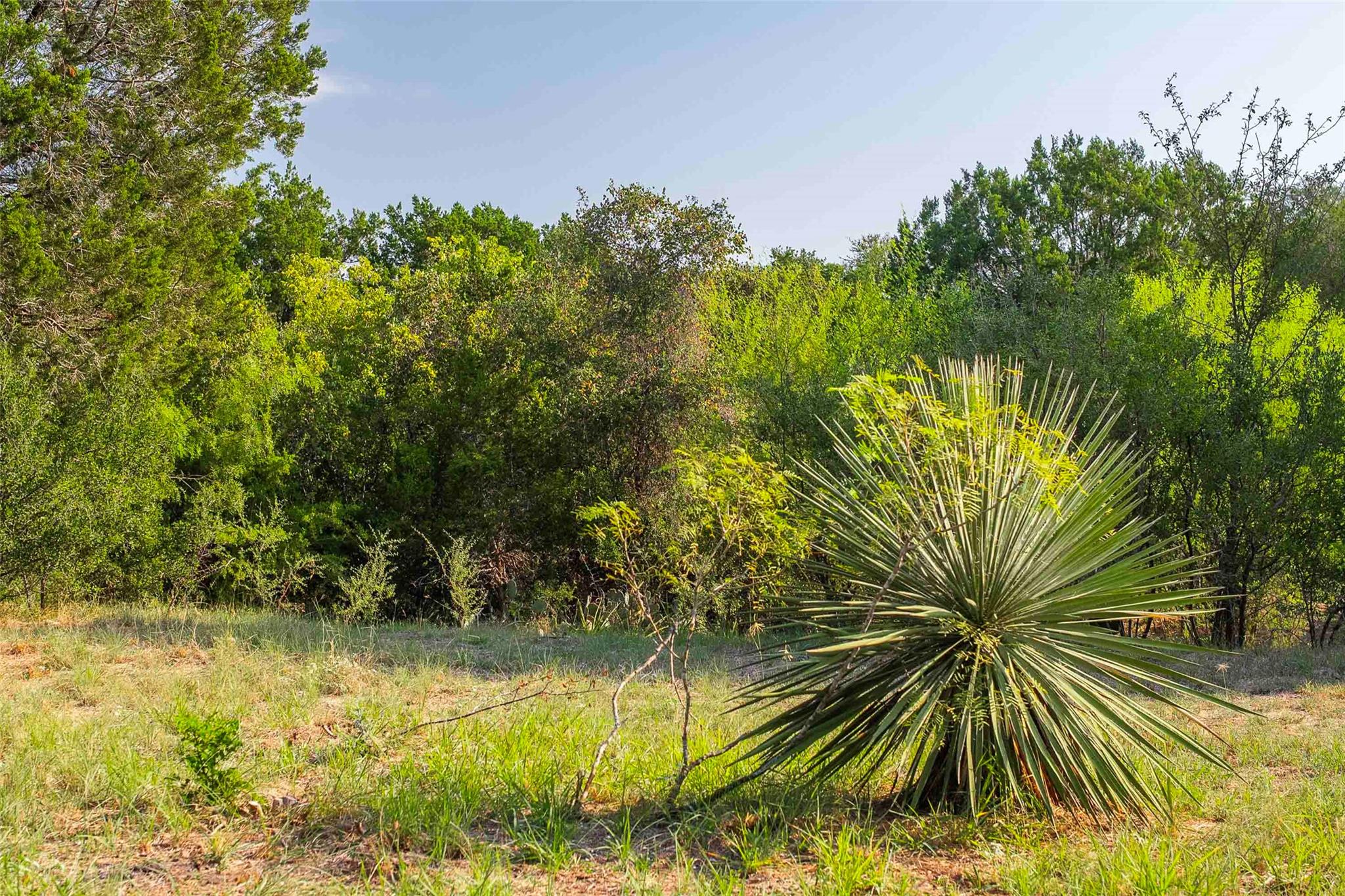 Lot 64 Wesley Ridge Drive Spicewood TX 78669