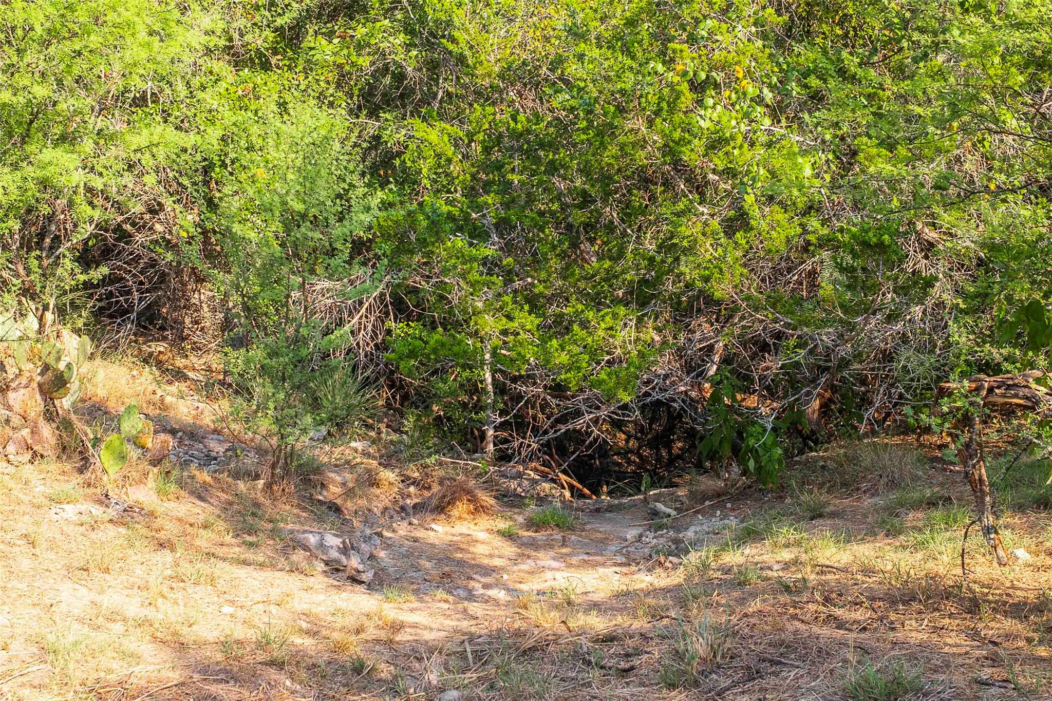 Lot 64 Wesley Ridge Drive Spicewood TX 78669