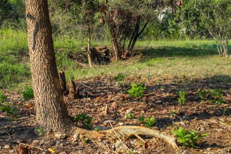 Lot 64 Wesley Ridge Drive Spicewood TX 78669