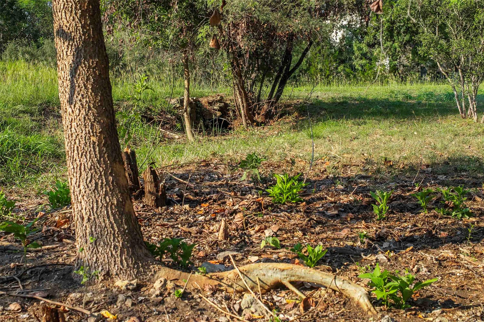 Lot 64 Wesley Ridge Drive Spicewood TX 78669