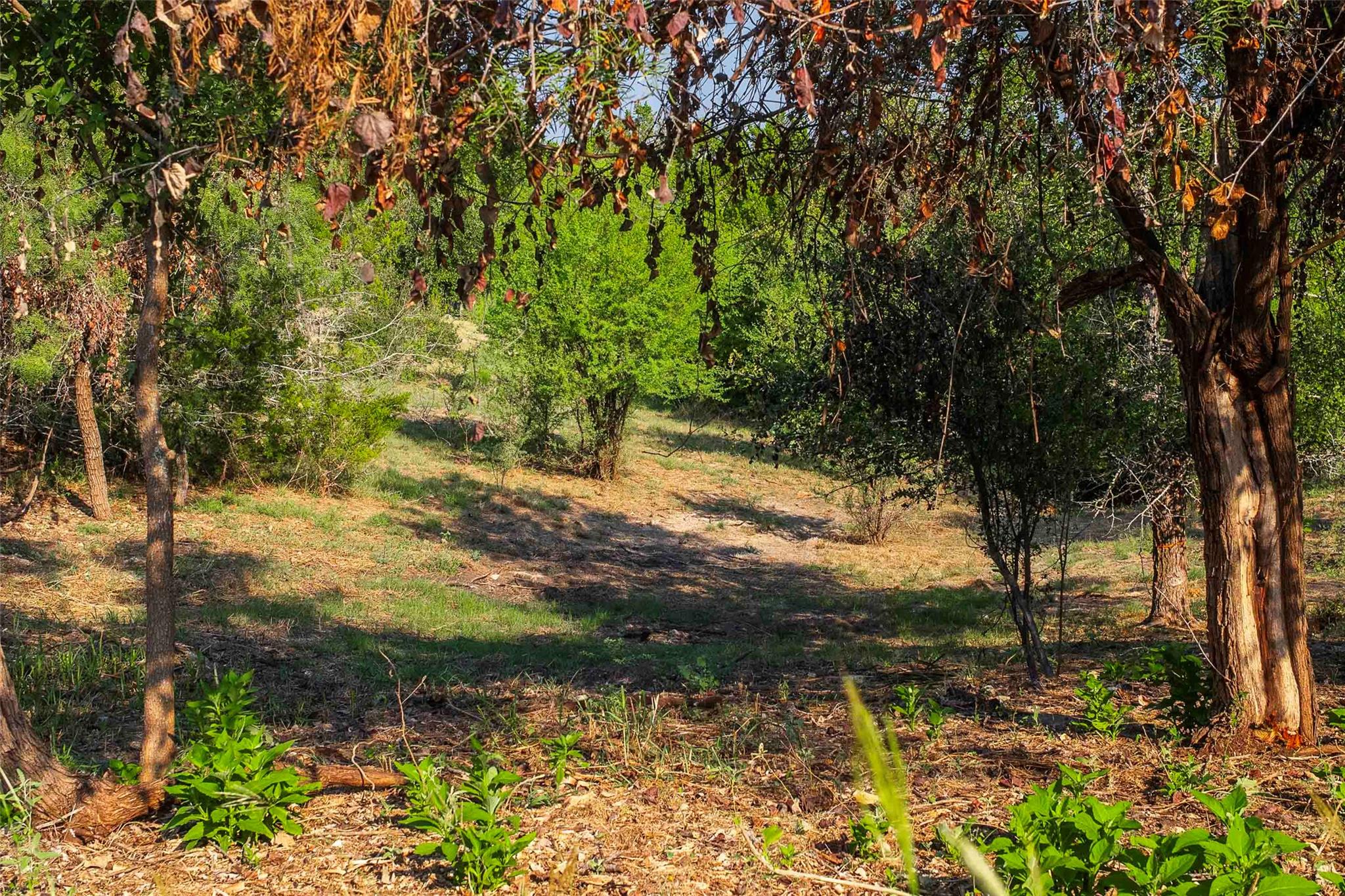 Lot 64 Wesley Ridge Drive Spicewood TX 78669