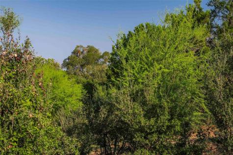 Lot 64 Wesley Ridge Drive Spicewood TX 78669