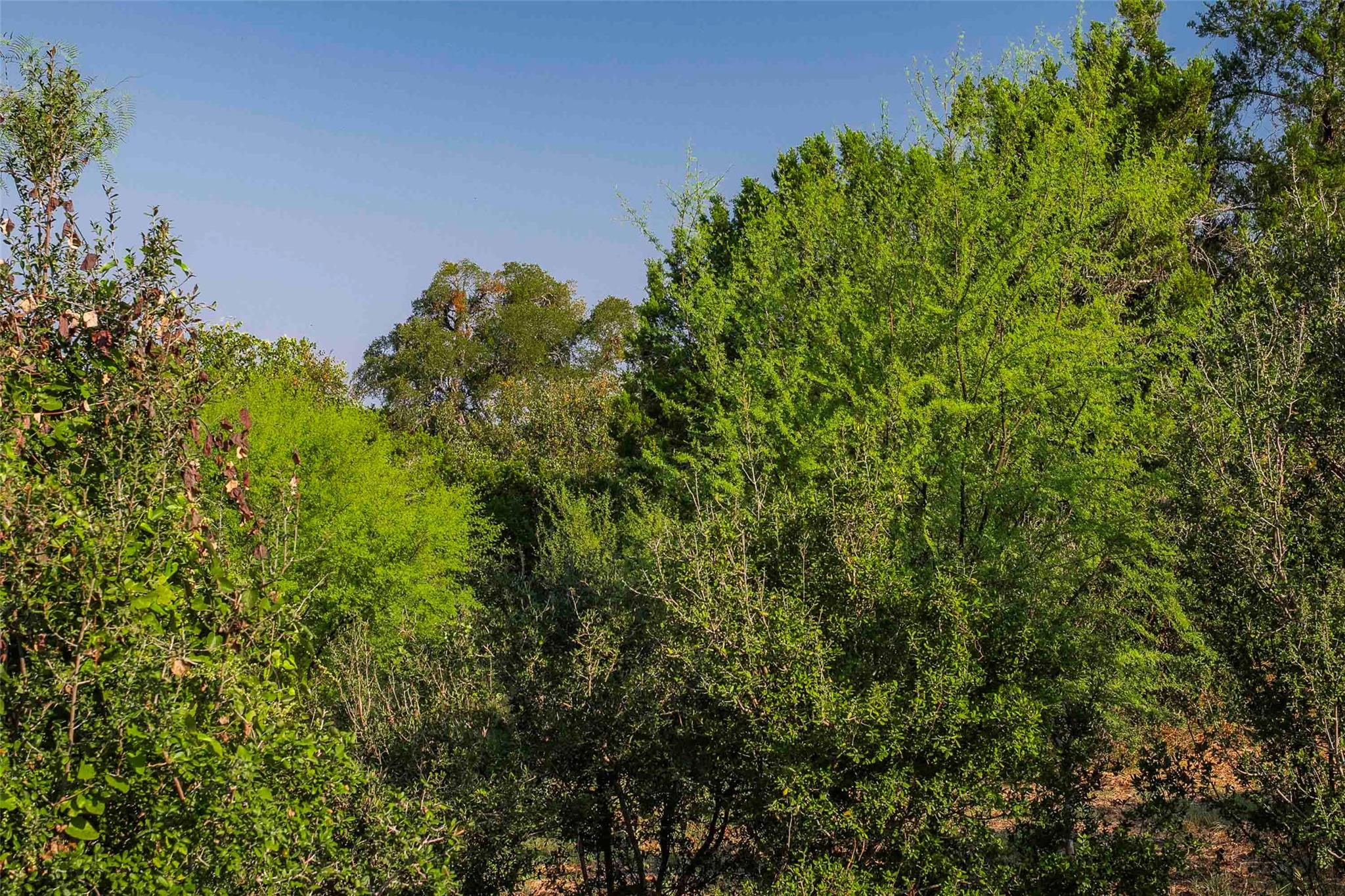 Lot 64 Wesley Ridge Drive Spicewood TX 78669