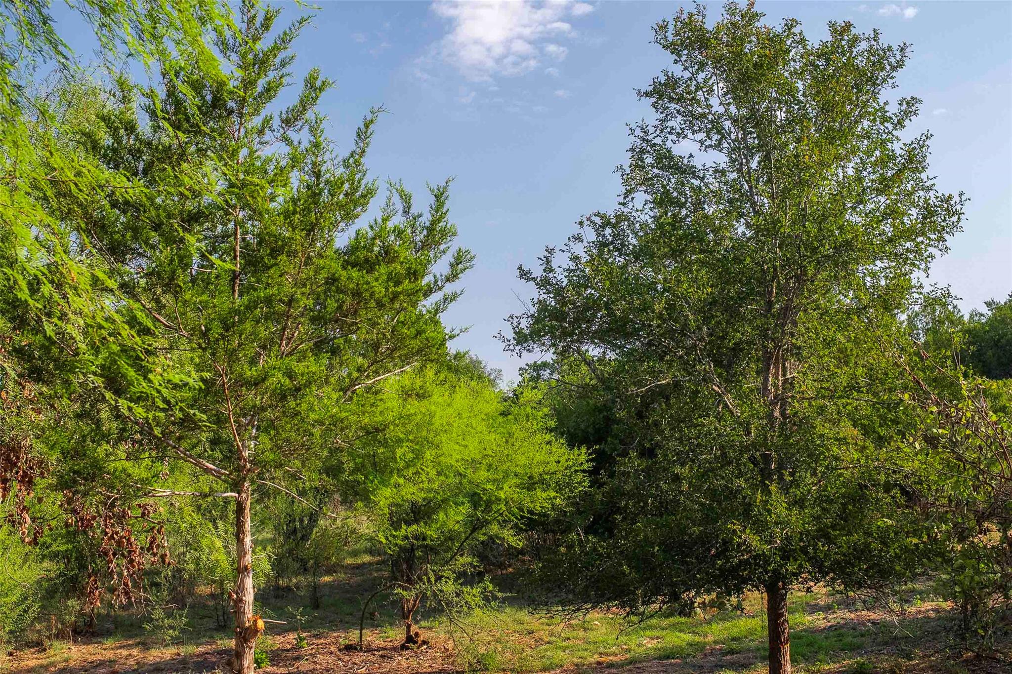 Lot 64 Wesley Ridge Drive Spicewood TX 78669