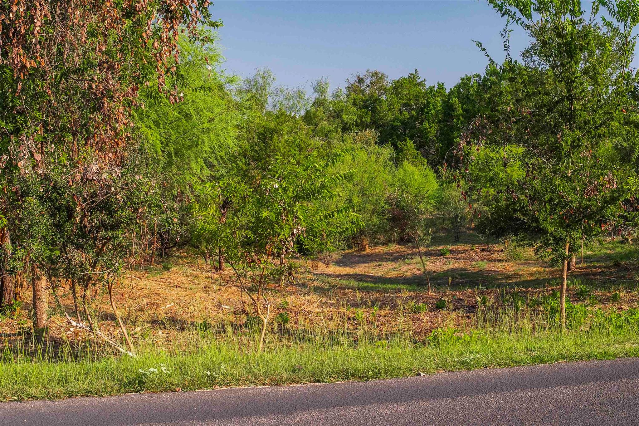 Lot 64 Wesley Ridge Drive Spicewood TX 78669