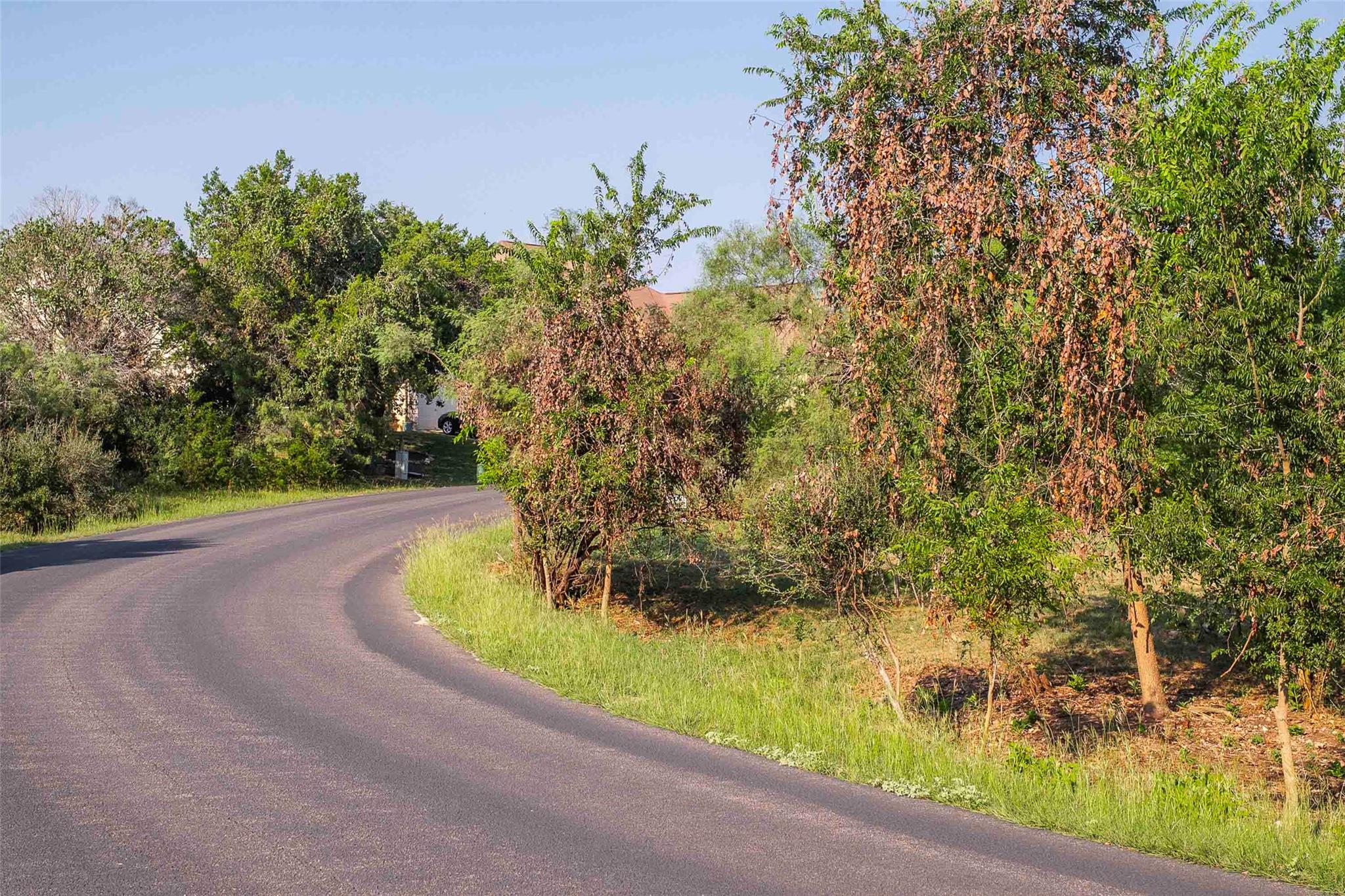 Lot 64 Wesley Ridge Drive Spicewood TX 78669