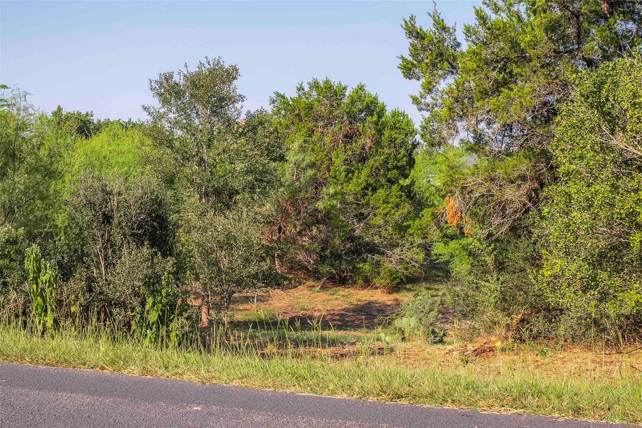 Lot 64 Wesley Ridge Drive Spicewood TX 78669