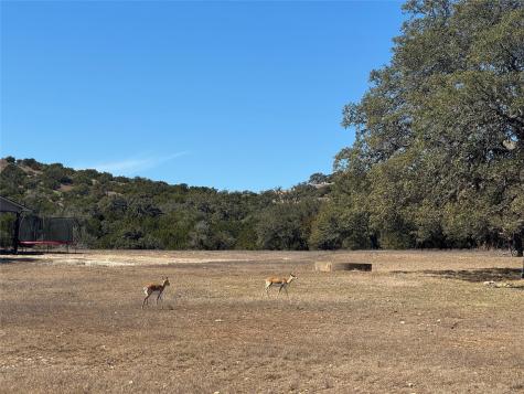 0 E Majestic Creek Drive Blanco TX 78606