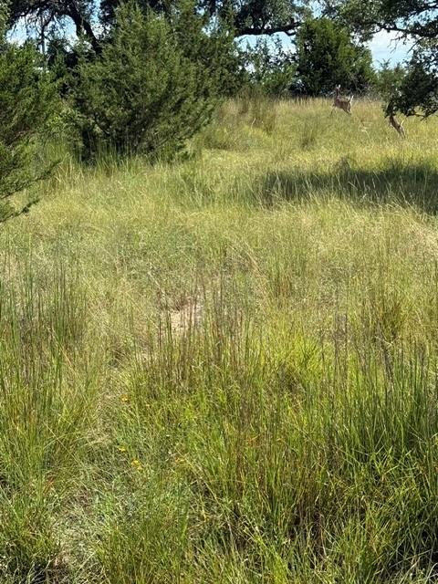 137 W Pat Dolan Blanco TX 78606