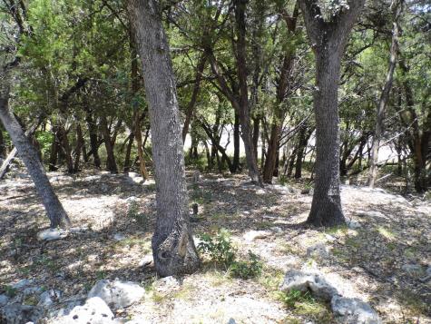 12333B Rr 12 Road Wimberley TX 78676