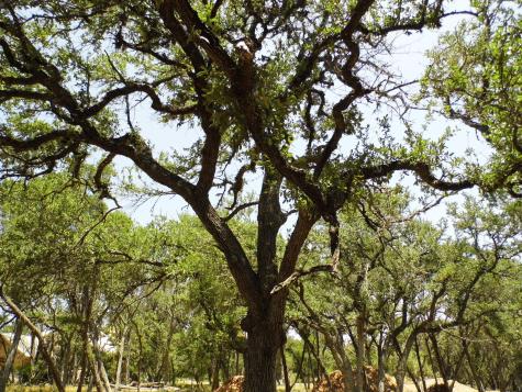 12333B Rr 12 Road Wimberley TX 78676