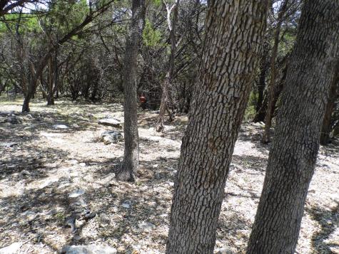 12333B Rr 12 Road Wimberley TX 78676