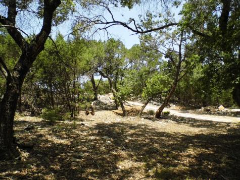12333B Rr 12 Road Wimberley TX 78676