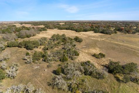 102 County Road 156 - Lot 20 Georgetown TX 78626