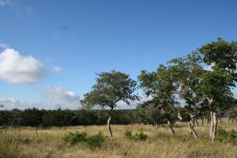 Lot 3 Oakwater Drive Fredericksburg TX 78624