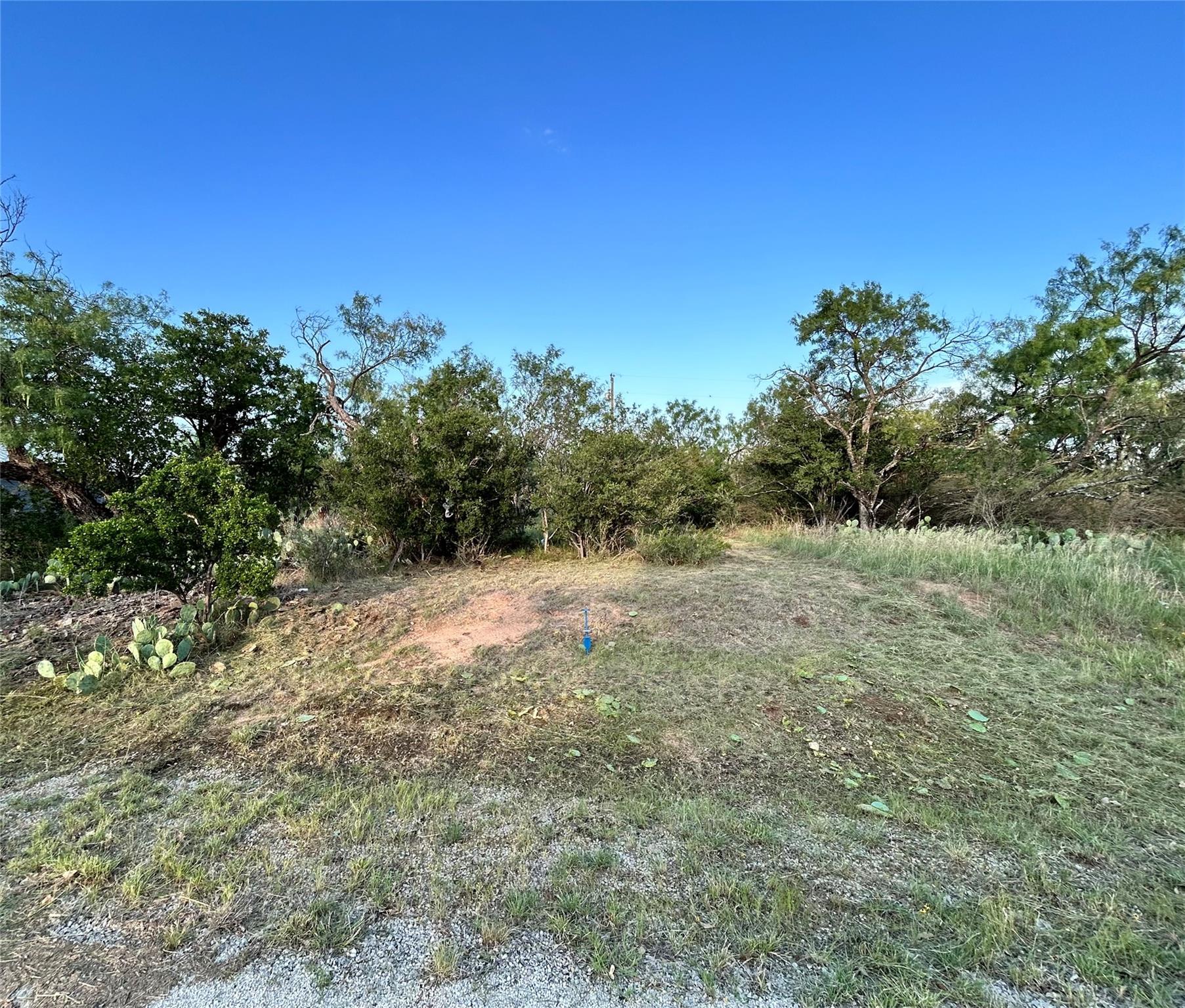 Tbd Cactus Trail Kingsland TX 78639