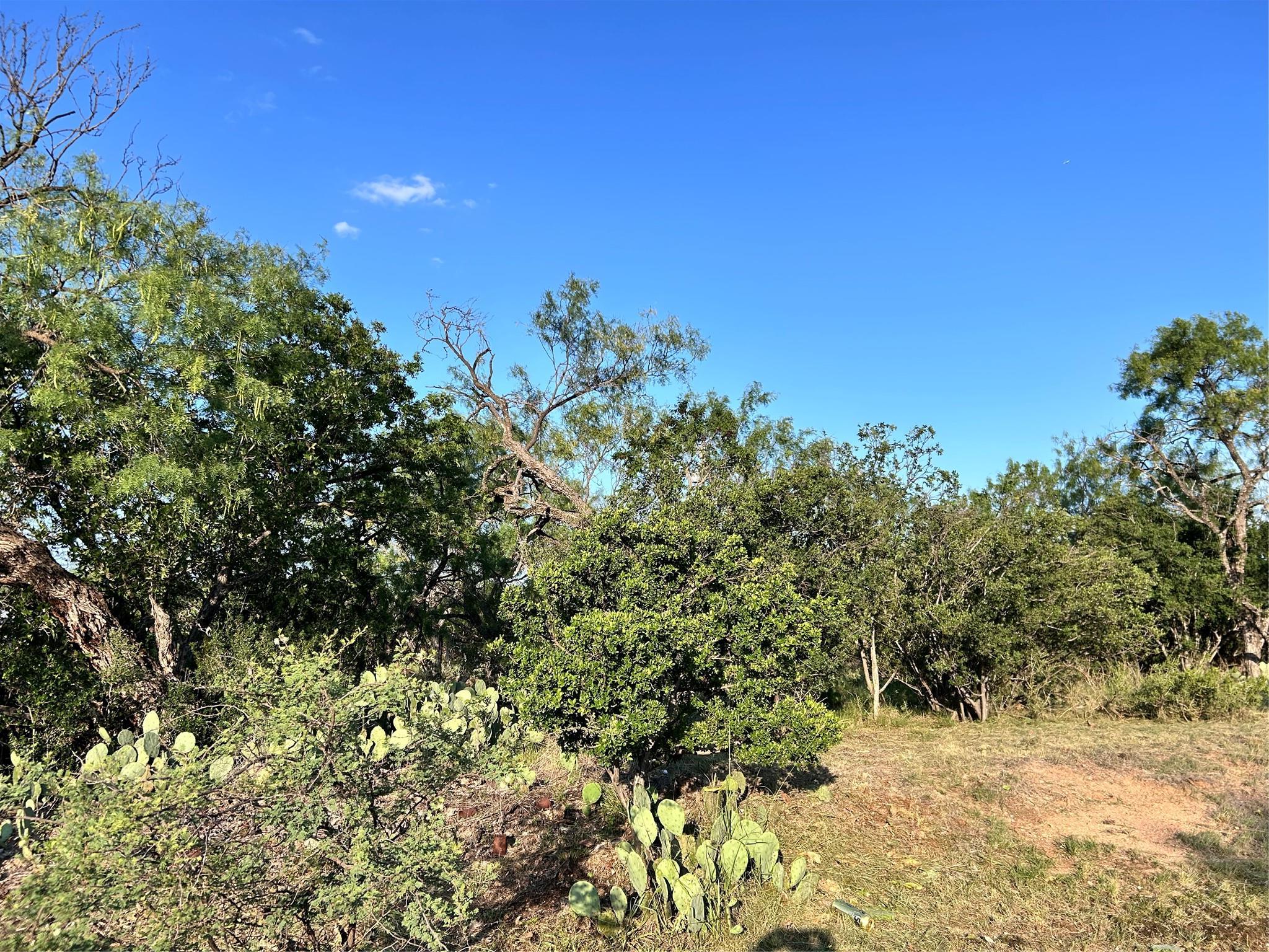 Tbd Cactus Trail Kingsland TX 78639