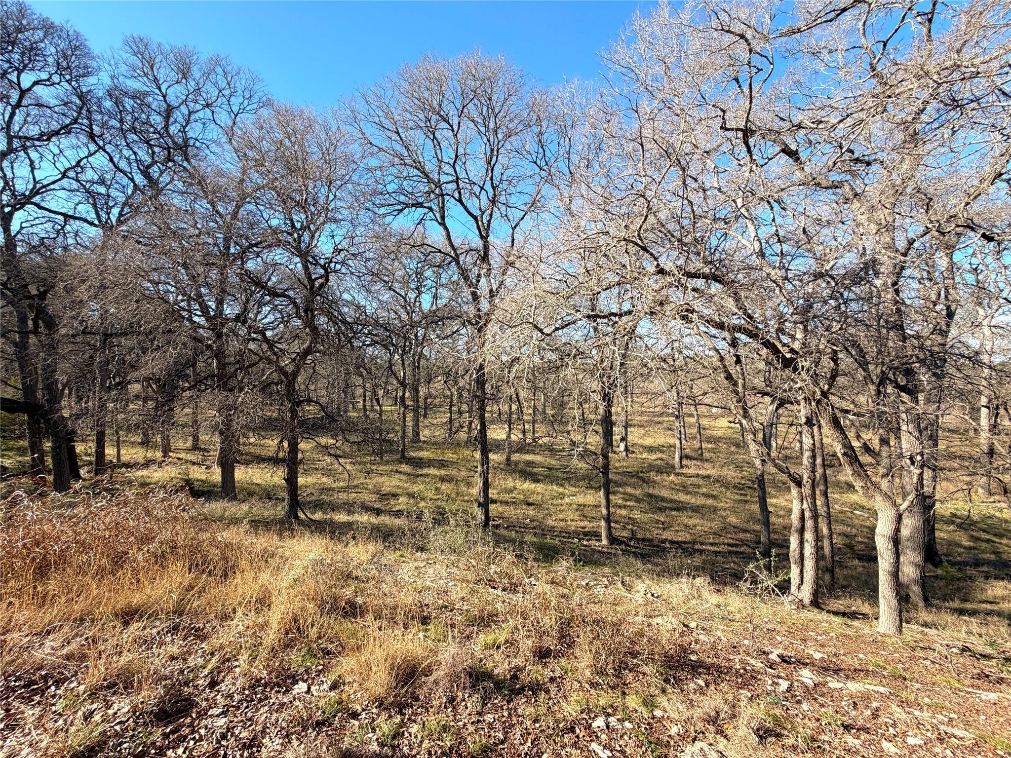 2162 Sierra Madre Canyon Lake TX 78133