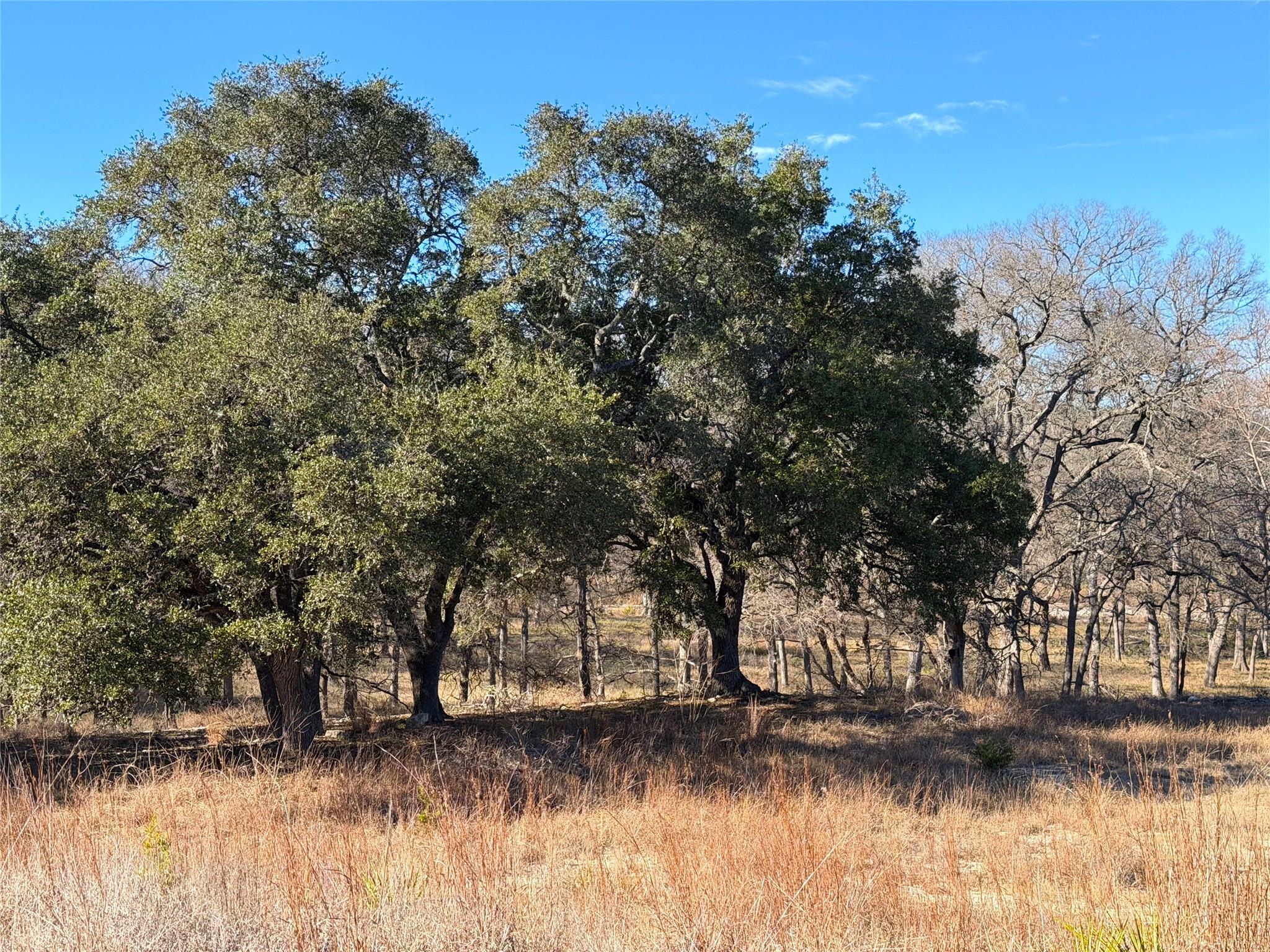 2162 Sierra Madre Canyon Lake TX 78133