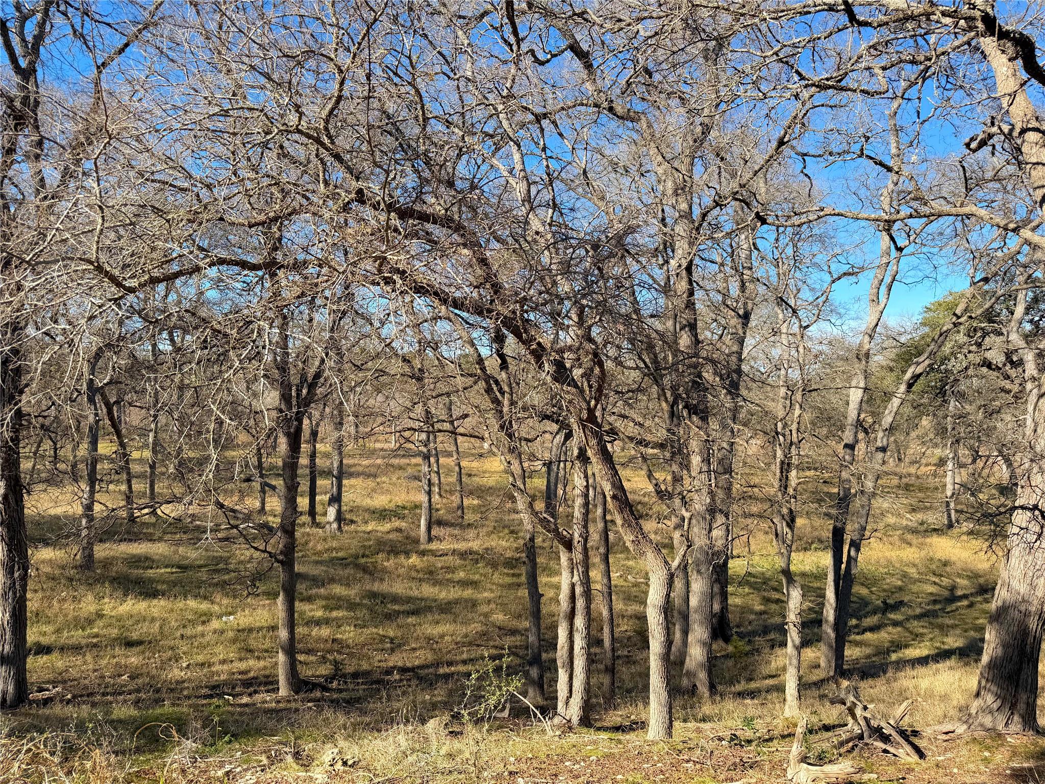 2162 Sierra Madre Canyon Lake TX 78133