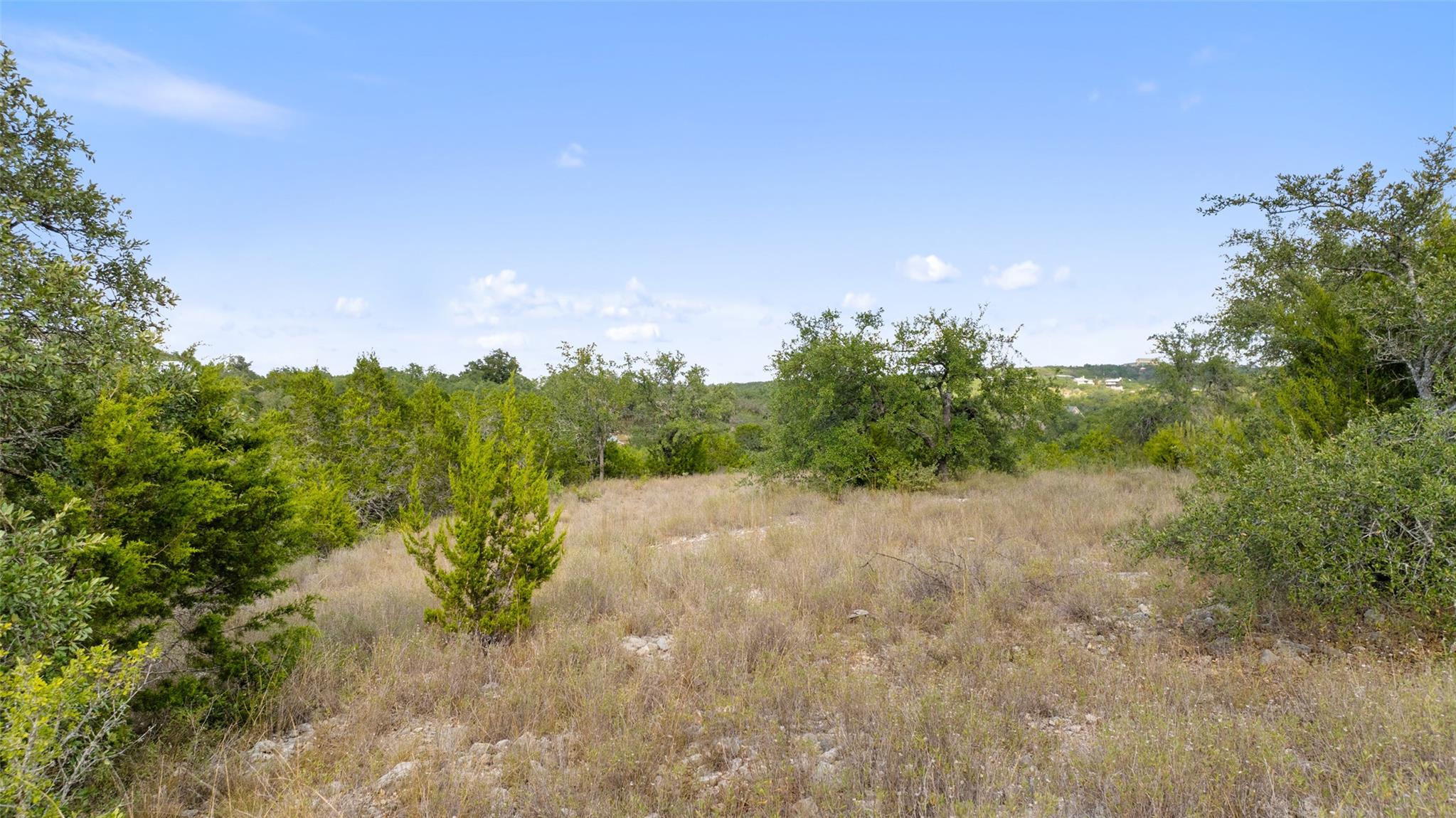 19718 Fig Bluff Lane Spicewood TX 78669