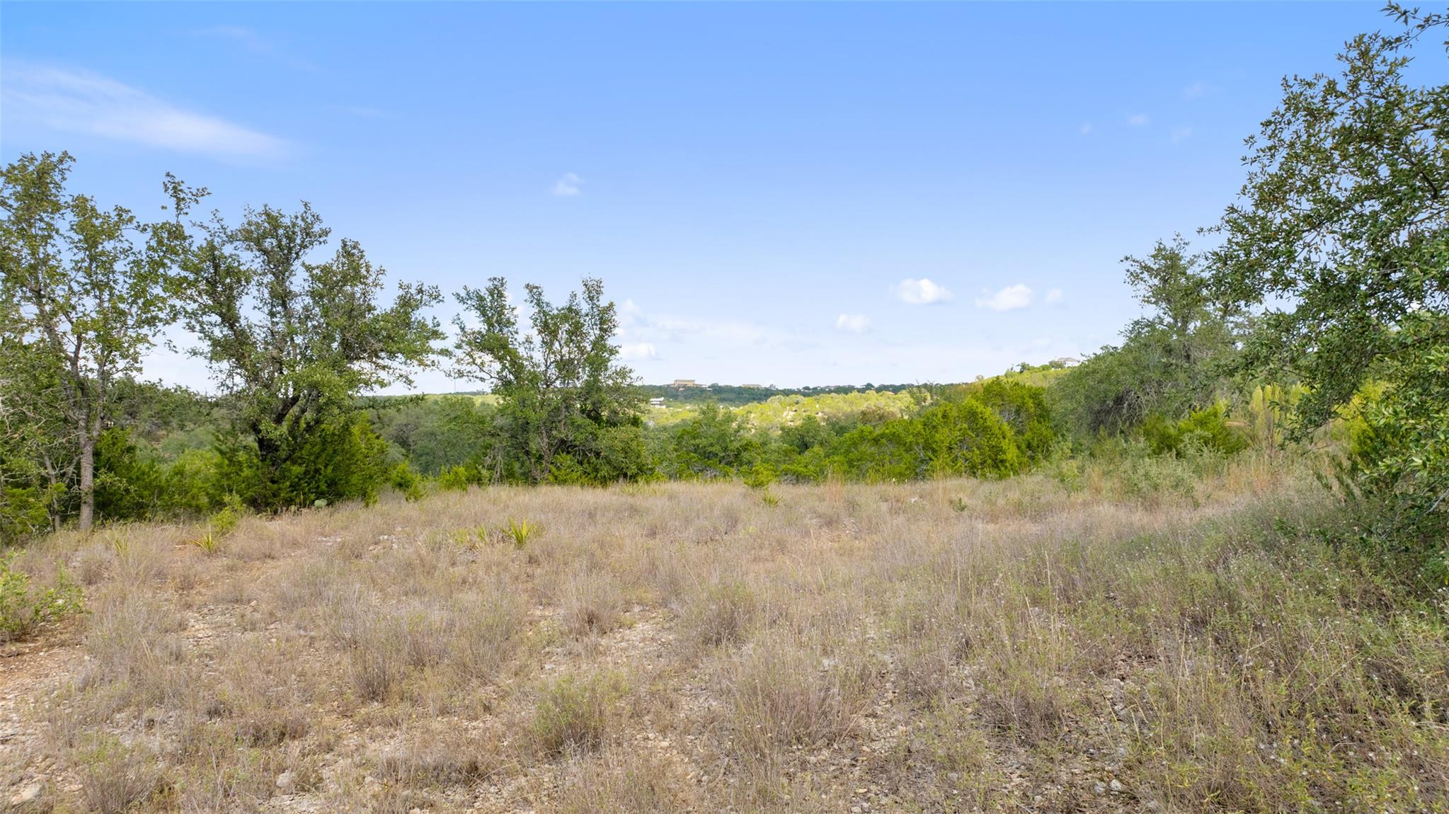 19718 Fig Bluff Lane Spicewood TX 78669