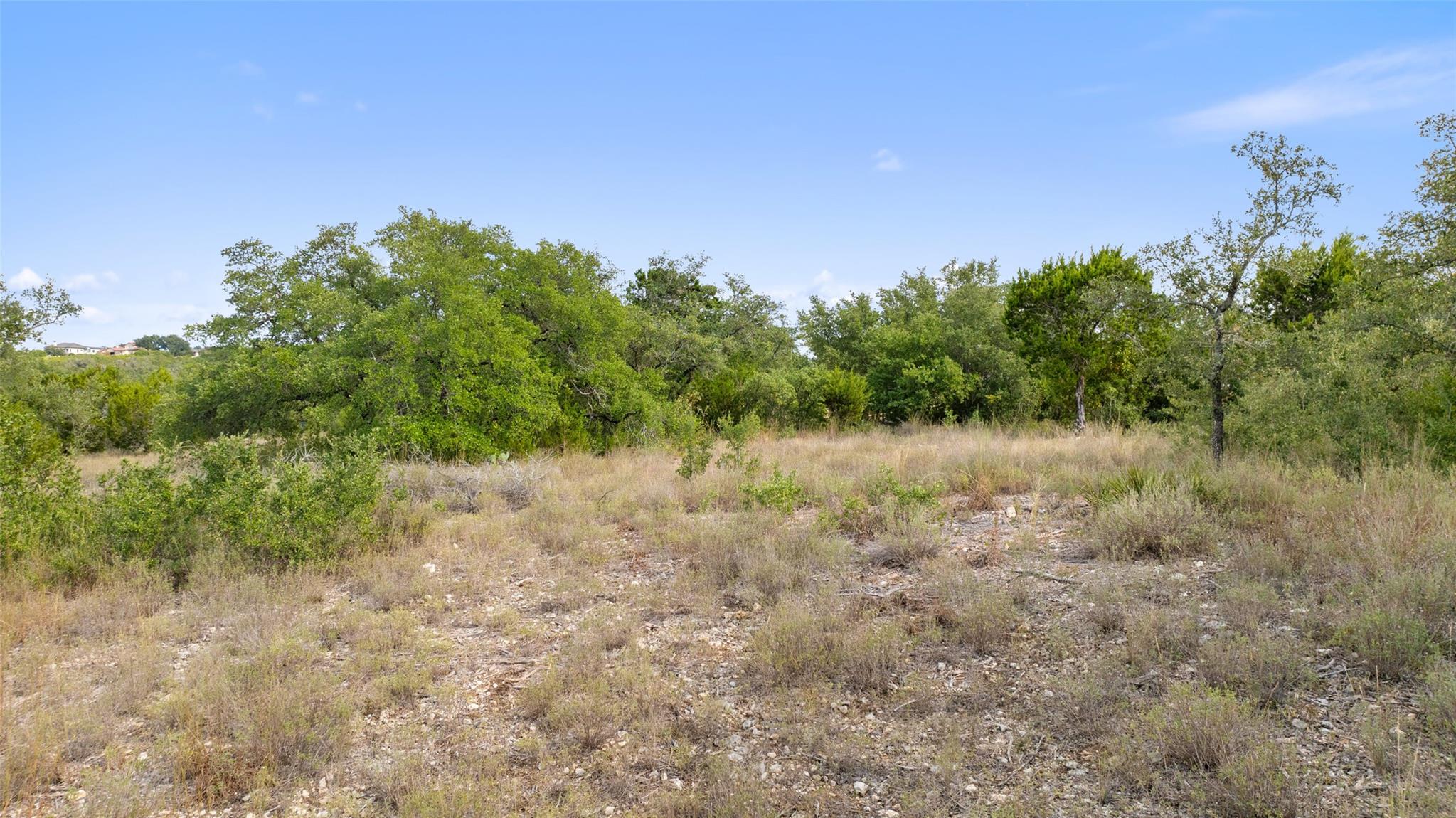 19718 Fig Bluff Lane Spicewood TX 78669
