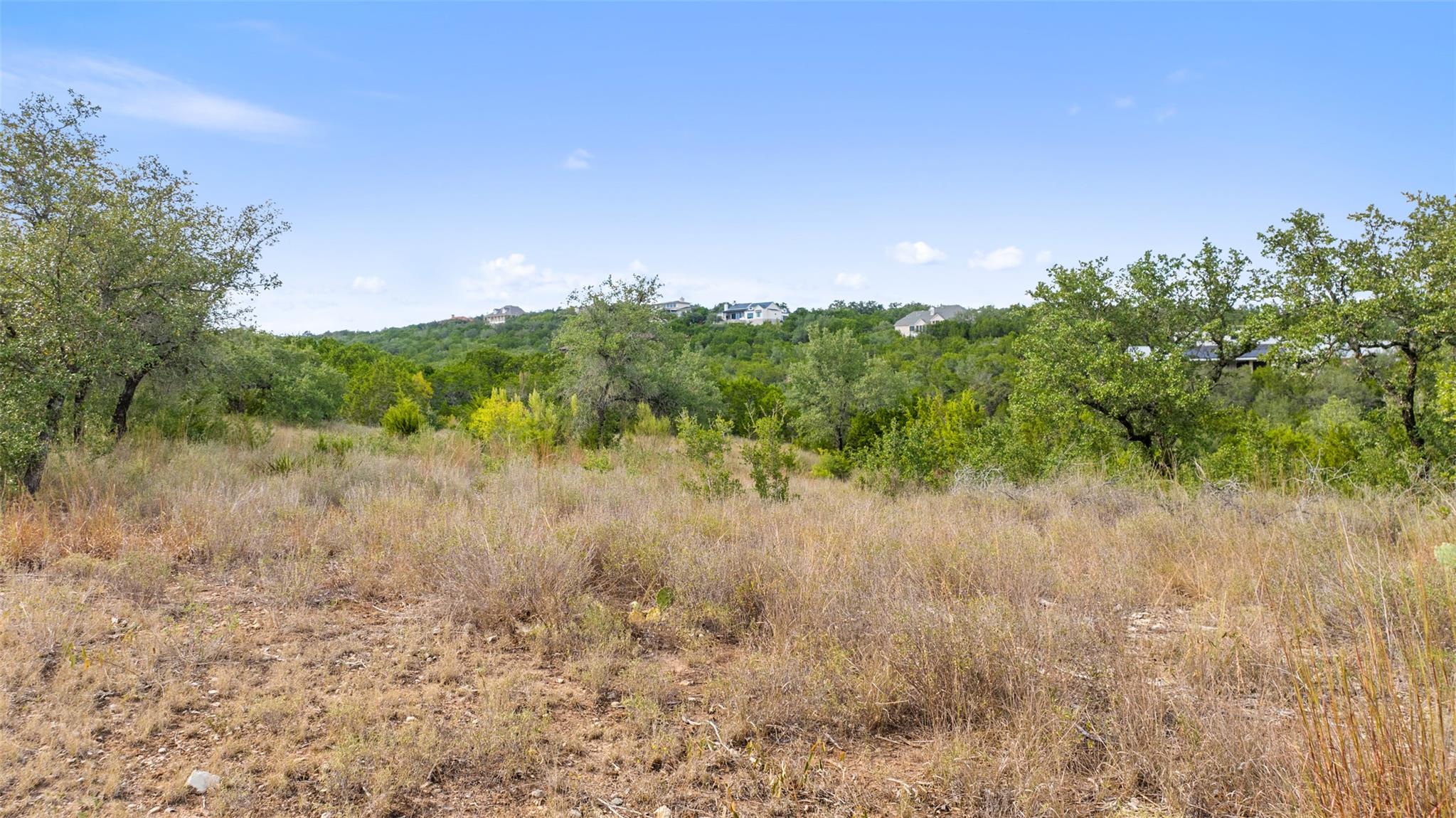 19718 Fig Bluff Lane Spicewood TX 78669
