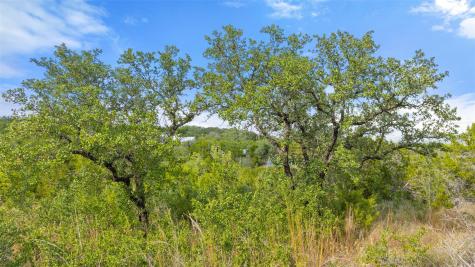 19718 Fig Bluff Lane Spicewood TX 78669