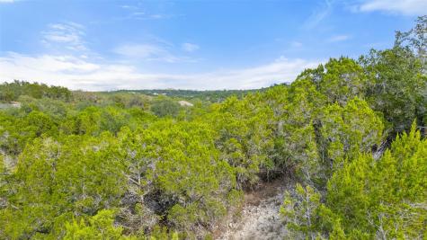 19718 Fig Bluff Lane Spicewood TX 78669
