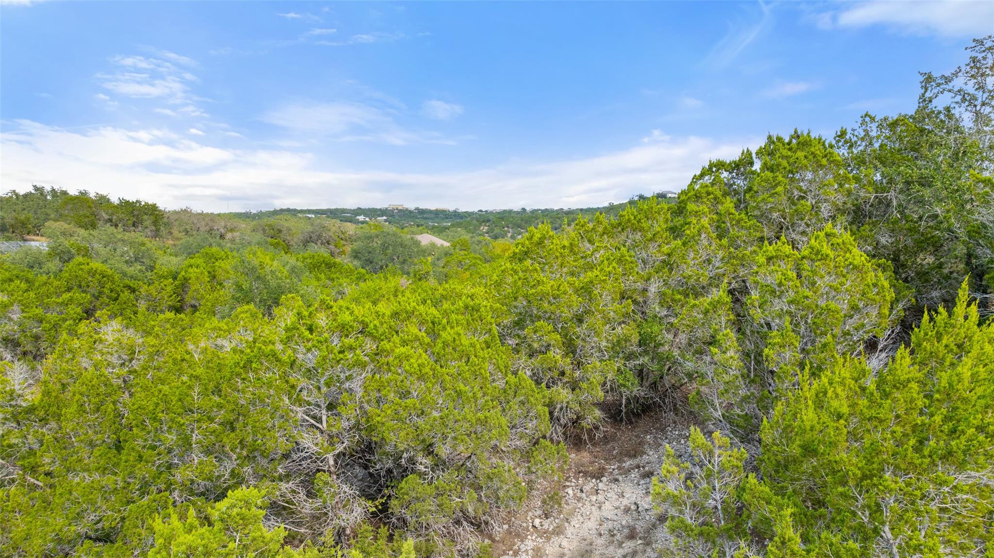 19718 Fig Bluff Lane Spicewood TX 78669