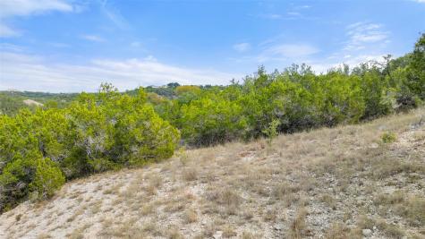 19718 Fig Bluff Lane Spicewood TX 78669