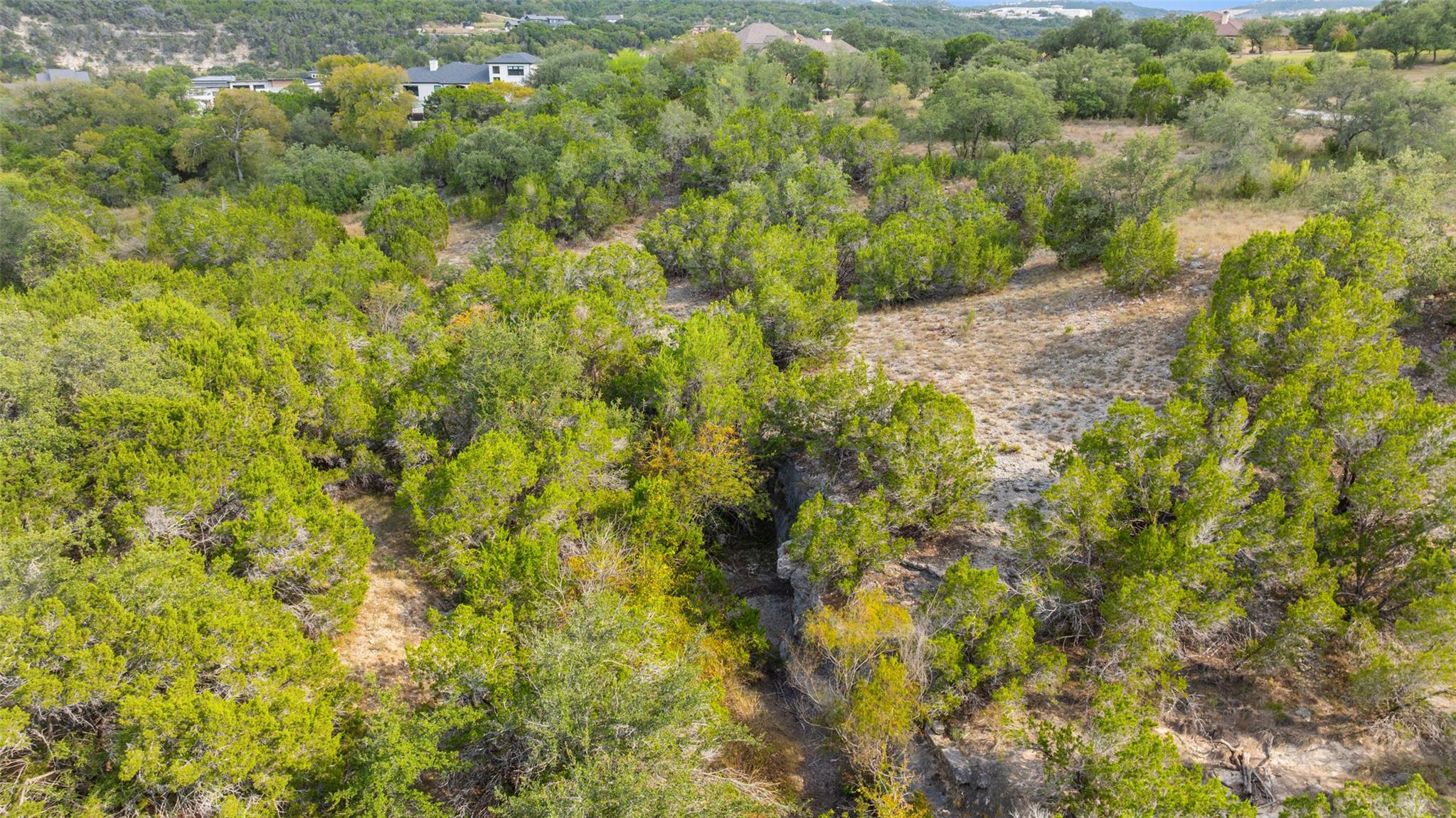 19718 Fig Bluff Lane Spicewood TX 78669