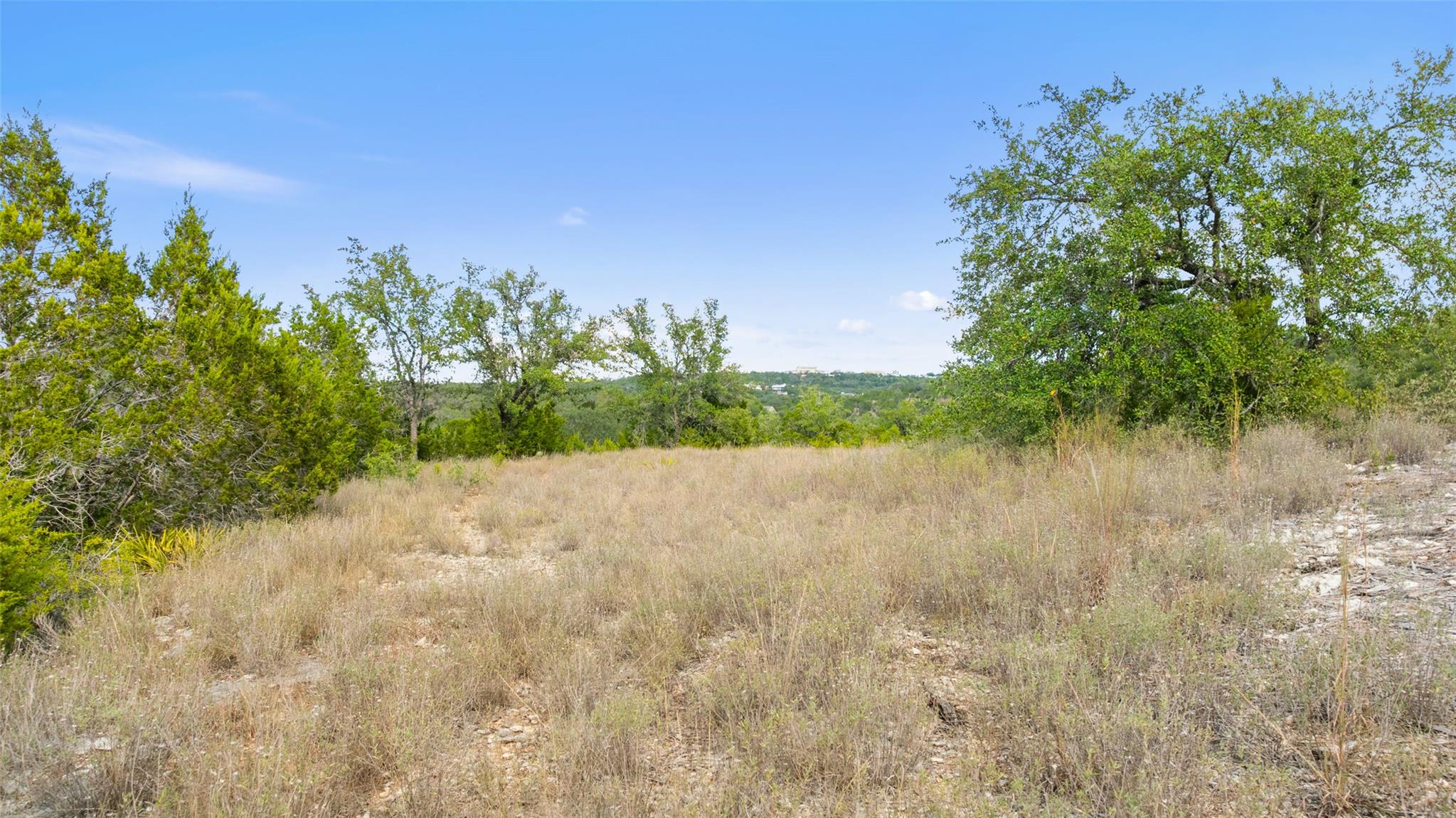 19718 Fig Bluff Lane Spicewood TX 78669