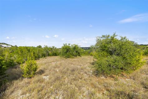 19718 Fig Bluff Lane Spicewood TX 78669