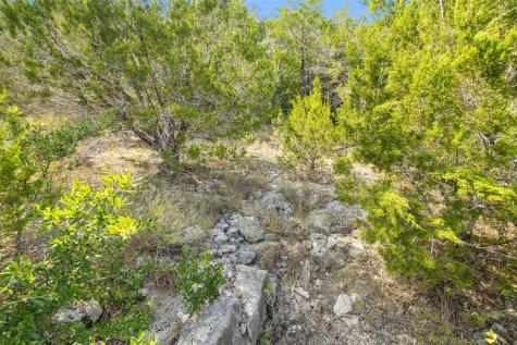 19718 Fig Bluff Lane Spicewood TX 78669